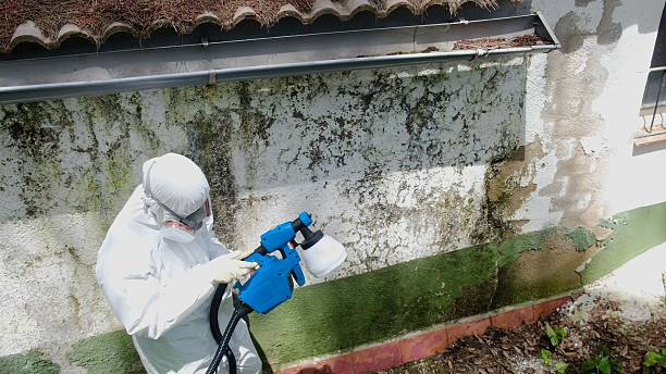 Trusted Commercial Mold Remediation service in Narberth, PA - Cheap Mold Removal
